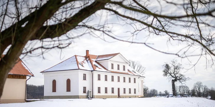 Príjemný pobyt na kaštieli neďaleko Valtíc a Lednice s raňajkami a privátnym wellness
