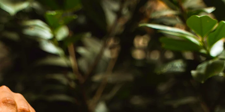 Raňajky pre dvoch v BENZE: párky, plnený croissant, omeleta, šunkovo-syrový tanier a iné