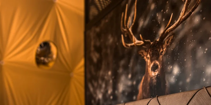 Pobyt v Špindlerovom Mlyne: moderný glampingový stan aj privátna infrasauna