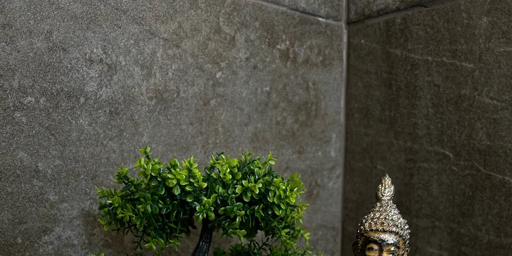 Pobyt na juhu Moravy: hotel s výhľadom na zámok Bučovice, raňajky aj vstup do wellness