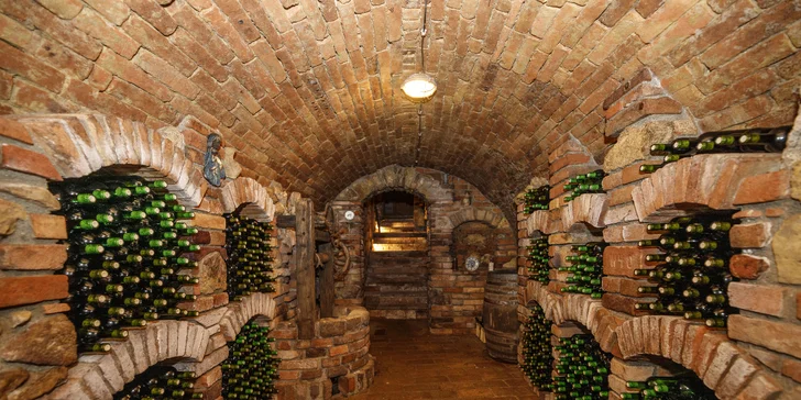 Vinársky pobyt vo Valticiach s raňajkami alebo polpenziou aj degustáciou vín