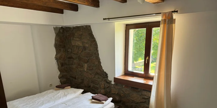 Bizoní ranč v srdci Českej Kanady: pobyt so skvelým jedlom, ekologický chov bizónov