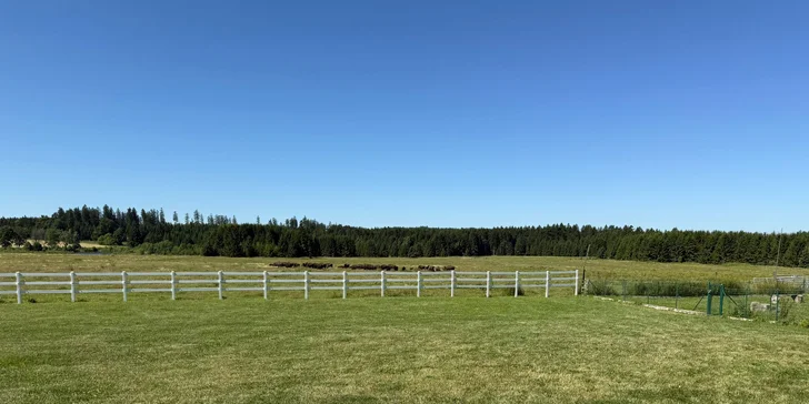 Bizoní ranč v srdci Českej Kanady: pobyt so skvelým jedlom, ekologický chov bizónov