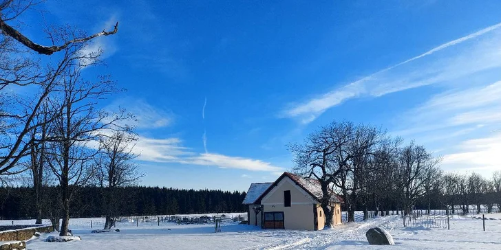 Bizoní ranč v srdci Českej Kanady: pobyt so skvelým jedlom, ekologický chov bizónov