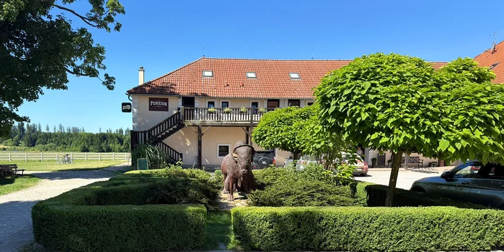 Bizoní ranč v srdci Českej Kanady: pobyt so skvelým jedlom, ekologický chov bizónov