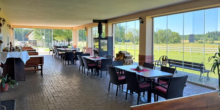 Bizoní ranč v srdci Českej Kanady: pobyt so skvelým jedlom, ekologický chov bizónov