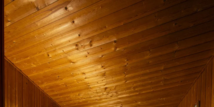 Rodinná dovolenka v Novej Lesnej s polpenziou a fínskou saunou