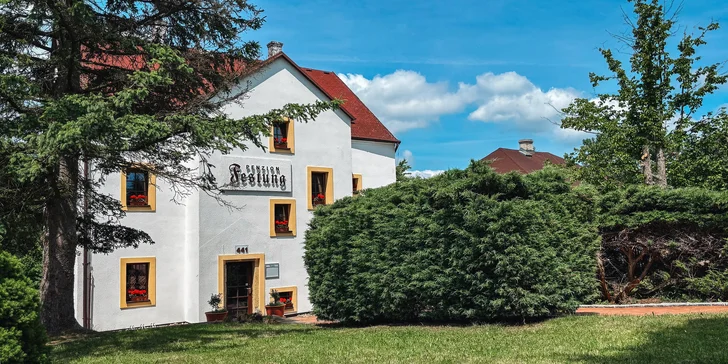 Útulný penzión na pomedzí Krušných hôr a Českosaského Švajčiarska, vrátane raňajok