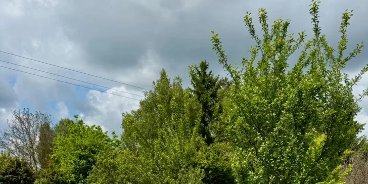 Dovolenka v rozprávkovom Hobitíne pod Orlickými horami pre pár aj rodinu