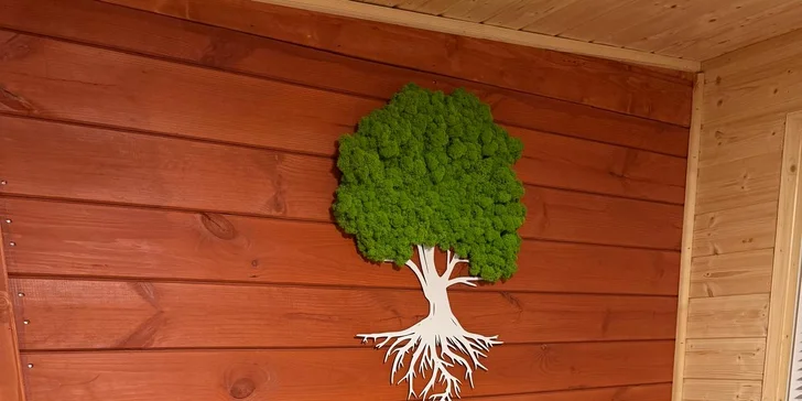 Romantická glampingová chatka pri rybníku na Prostějovsku pre pár