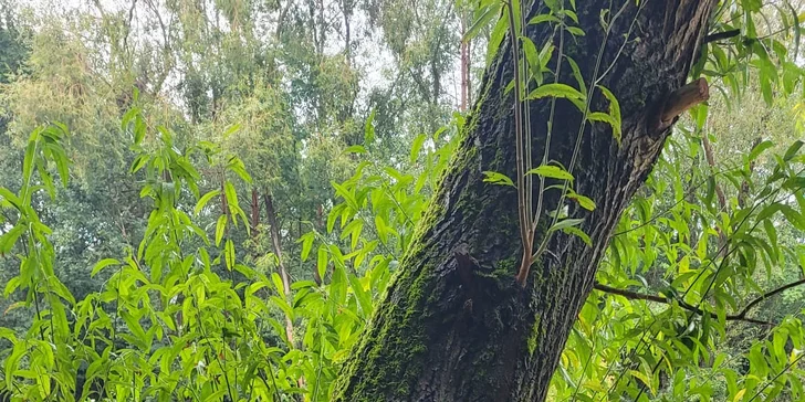 Romantická glampingová chatka pri rybníku na Prostějovsku pre pár