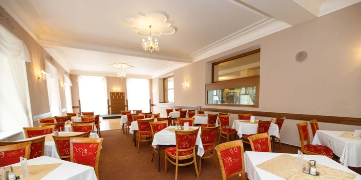 Pobyt vo Františkových Lázňach: polpenzia, infrasauna a masáž alebo procedúry stanovené lekárom