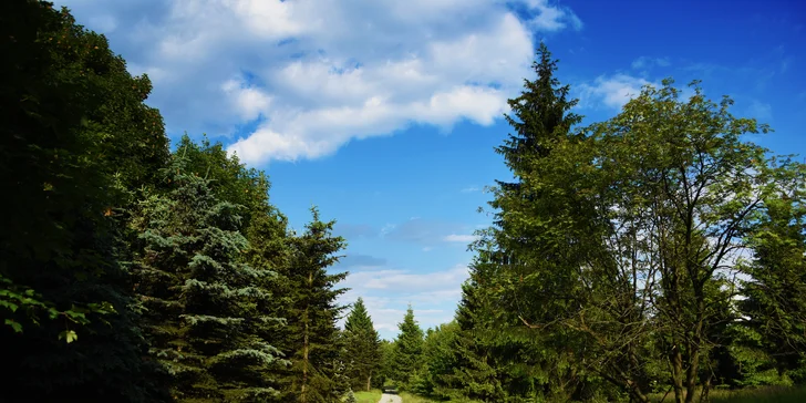 Pobyt v Jáchymove neďaleko Božieho Daru: raňajky alebo polpenzia, biliard, 5 km na Klínovec