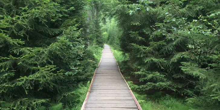 Pobyt vo vychýrenom historickom penzióne Rejvíz s výborným jedlom a wellness
