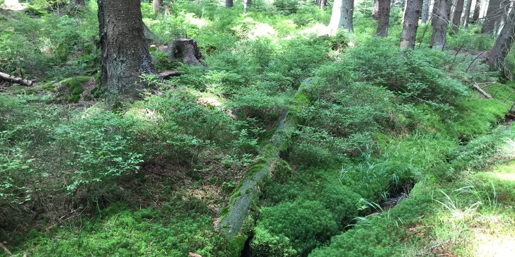 Pobyt vo vychýrenom historickom penzióne Rejvíz s výborným jedlom a wellness