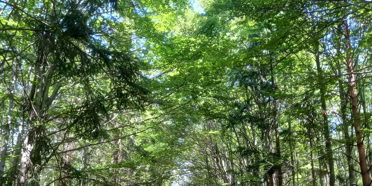 Rodinná pohoda na Vysočine: mobilný domček až pre 5 osôb s terasou