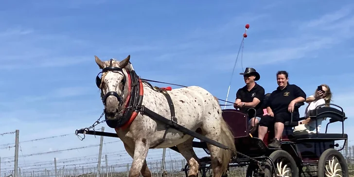 Farma pri Znojme: pobyt s raňajkami alebo polpenziou aj jazdou na koni alebo v koči