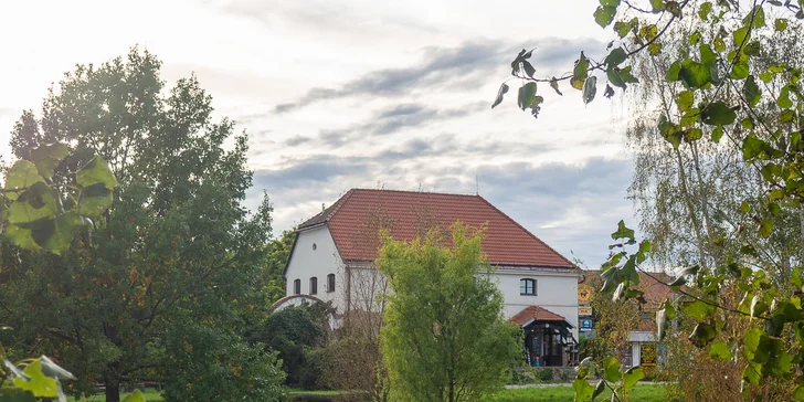 Farma pri Znojme: pobyt s raňajkami alebo polpenziou aj jazdou na koni alebo v koči