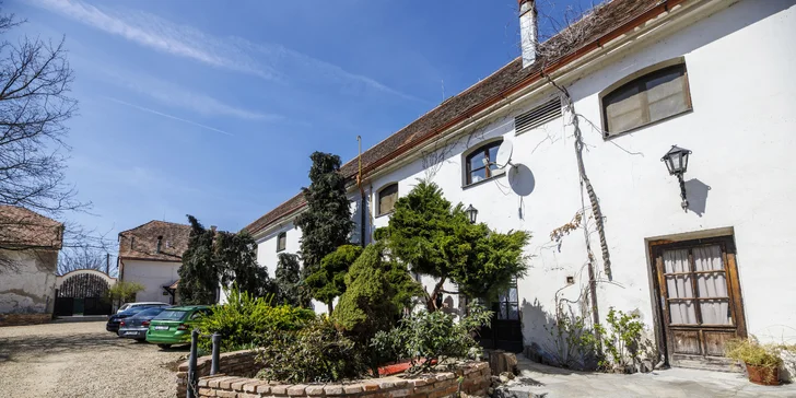 Farma pri Znojme: pobyt s raňajkami alebo polpenziou aj jazdou na koni alebo v koči