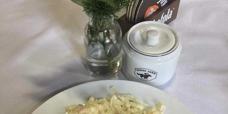 Farma pri Znojme: pobyt s raňajkami alebo polpenziou aj jazdou na koni alebo v koči