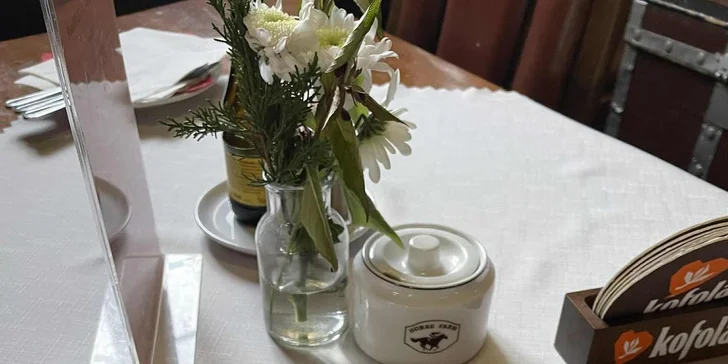 Farma pri Znojme: pobyt s raňajkami alebo polpenziou aj jazdou na koni alebo v koči