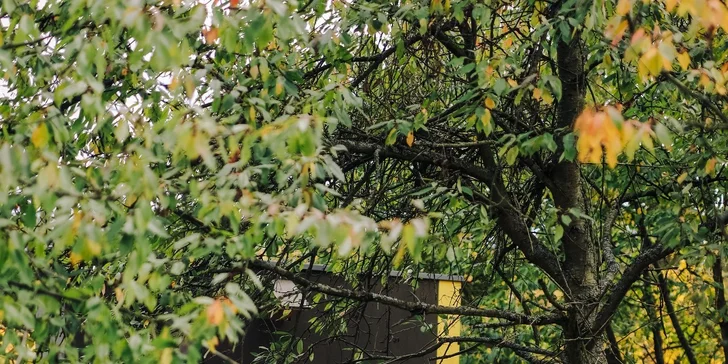 Glamping: minimalistický posed pre dve osoby, solárna sprcha, gril a vyhrievaný sud