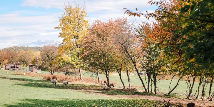 Glamping: minimalistický posed pre dve osoby, solárna sprcha, gril a vyhrievaný sud
