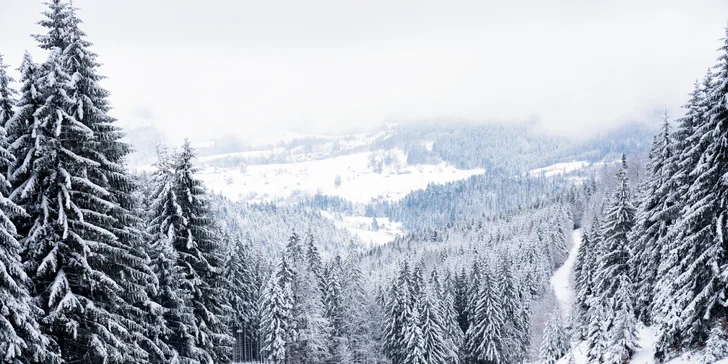 Pobyt v prírode poľských Beskýd: raňajky alebo polpenzia a neobmedzený wellness
