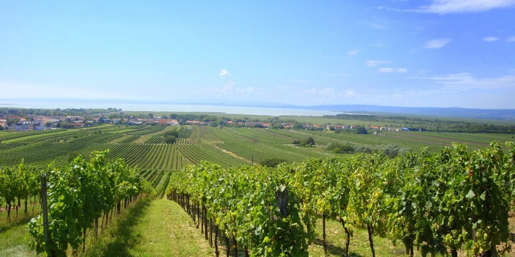 Pobyt pri Neziderskom jazere: 4* hotel s polpenziou, wellness, karta výhod