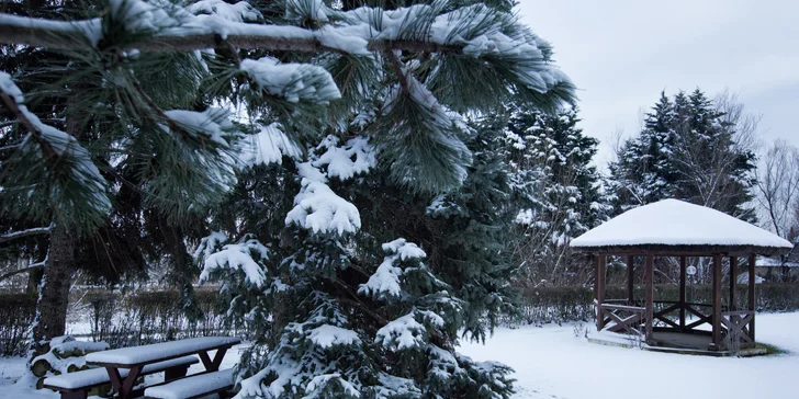 Pobyt pri Neziderskom jazere: 4* hotel s polpenziou, wellness, karta výhod