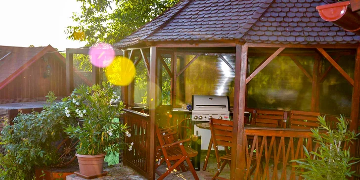 Dovolenkový dom s bazénom, vírivkou a saunou blízko Nových Zámkov až pre 16 osôb