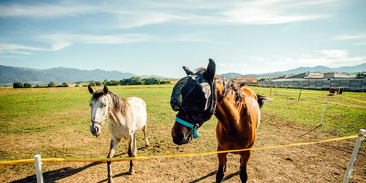 Výnimočný pobyt v penzióne neďaleko Martina s polpenziou a vstupom do wellness