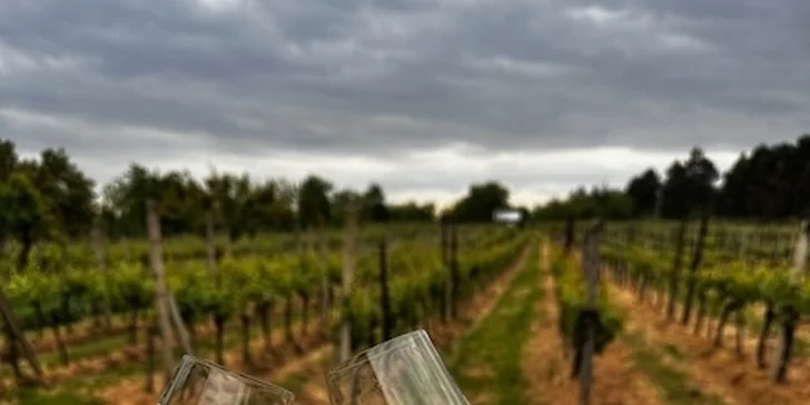 Pobyt v penzióne rodinného vinárstva pre páry aj skupiny vrátane vína alebo degustácie