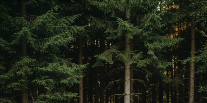 Zážitková jazda v DODGE Challenger 6,4 HEMI V8 alebo nadupaný duel s talianskou ikonou FERRARI či LAMBORGHINI