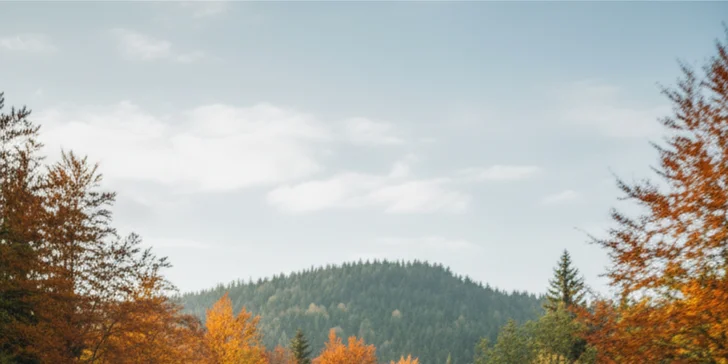 Zážitková jazda v DODGE Challenger 6,4 HEMI V8 alebo nadupaný duel s talianskou ikonou FERRARI či LAMBORGHINI