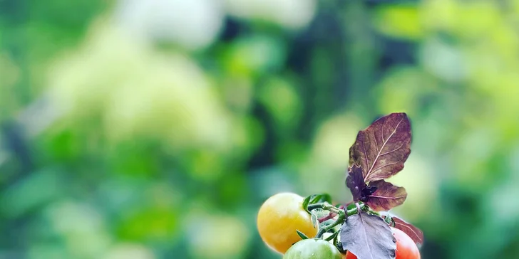 Polanica Zdrój: historický hotel s wellness, polpenzia aj vybavenie pre rodiny