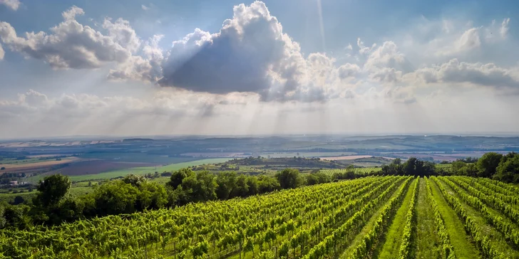 Pobyt v centre Mikulova: raňajky aj 3-chodová večera a návšteva vínnej pivnice
