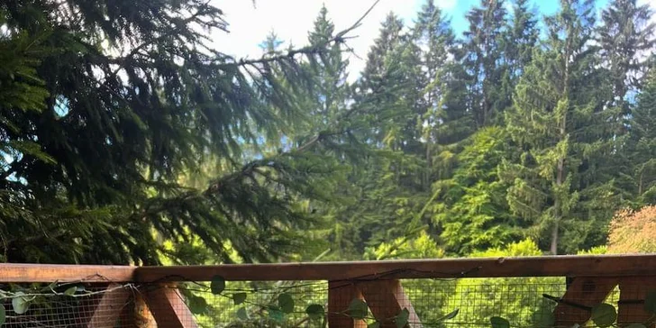 Pobyt v krásnom domčeku v korunách stromov v úžasnej prírode Martinských holí