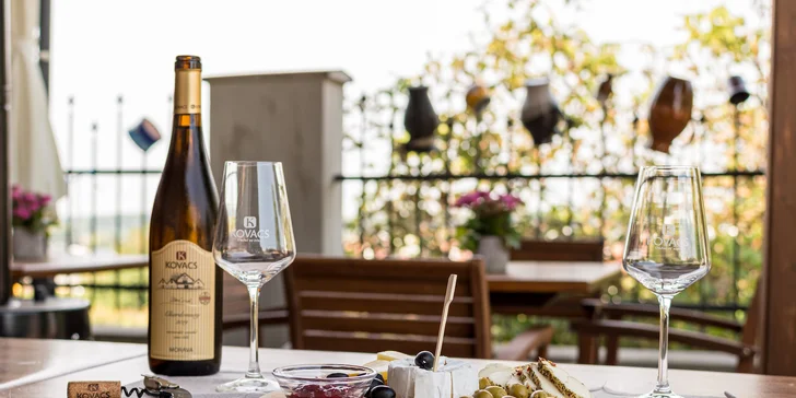 Pobyt na južnej Morave: raňajky, neobmedzená konzumácia sudového vína aj bazén