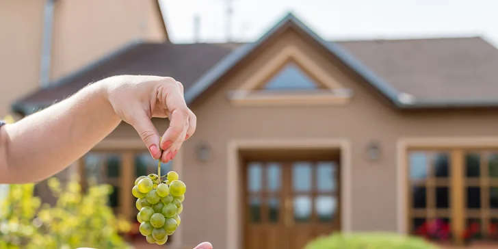 Pobyt na južnej Morave: raňajky, neobmedzená konzumácia sudového vína aj bazén