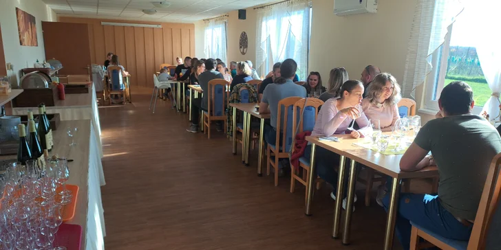 Pobyt na južnej Morave: raňajky, neobmedzená konzumácia sudového vína aj bazén