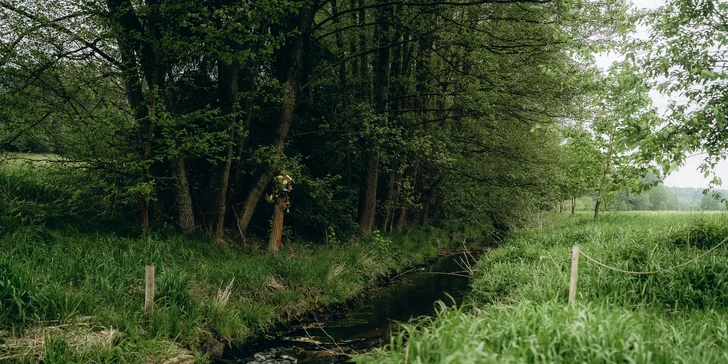 Glampingové stany pri lese: prosecco, raňajky aj grilovací kôš a výhľad na hviezdy priamo z postele