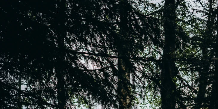 Glampingové stany pri lese: prosecco, raňajky aj grilovací kôš a výhľad na hviezdy priamo z postele