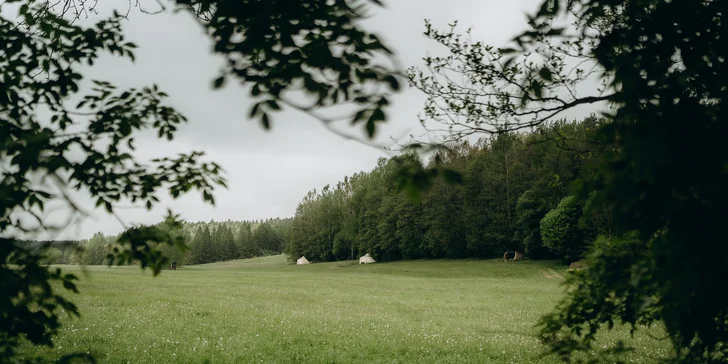 Glampingové stany pri lese: prosecco, raňajky aj grilovací kôš a výhľad na hviezdy priamo z postele