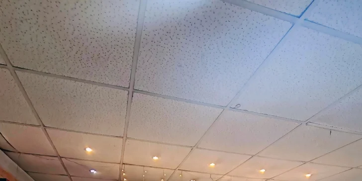 11 druhov pizze, osobný odber alebo donáška (v rámci KE v cene)