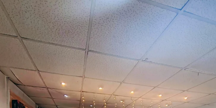 Denné menu v reštaurácii alebo s donáškou v cene