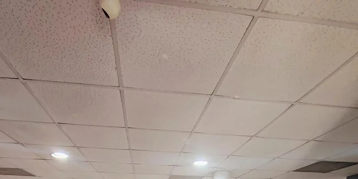 Denné menu v reštaurácii alebo s donáškou v cene