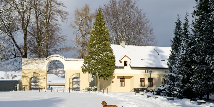 Romantika na poľskom zámku, 13 km od hraníc: neobmedzený vstup do wellness, raňajky alebo polpenzia