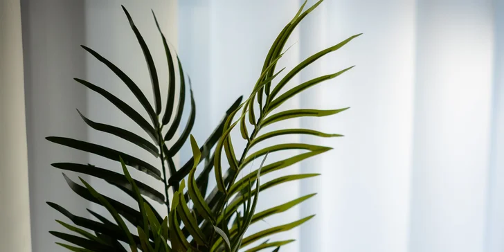 Japonský Head Spa rituál: nový život pre vaše vlasy