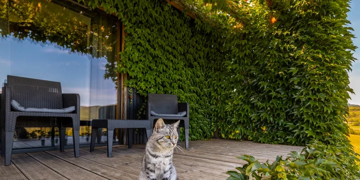 Výnimočný pobyt v blízkosti Novej Bane aj s luxusným boxom s jedlom